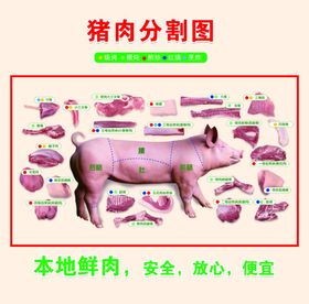 猪肉分割图