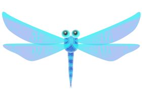 蜻蜓