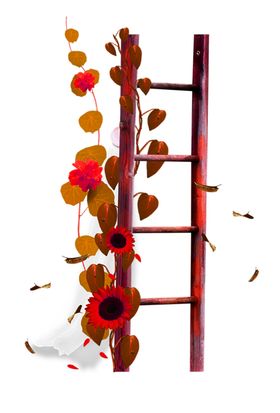 鲜花素材