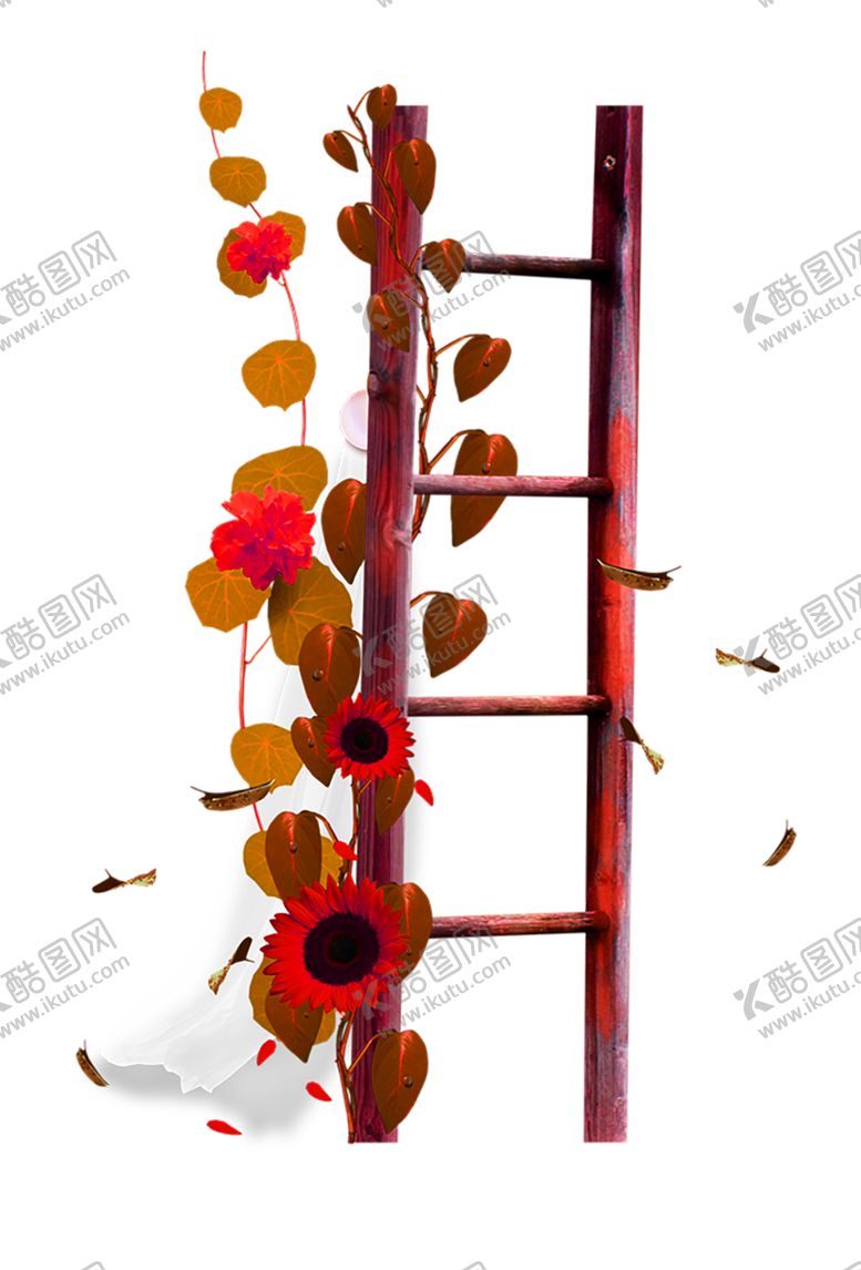 编号：89204509230206357264【酷图网】源文件下载-鲜花素材