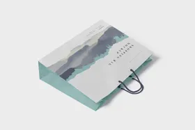 手提袋包装设计样机