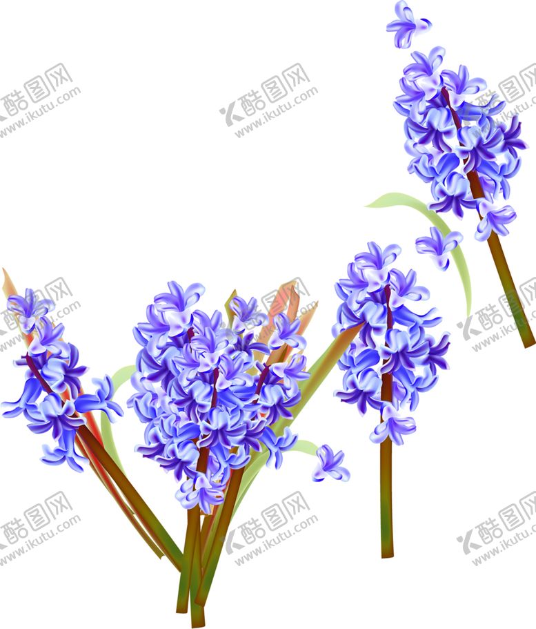 编号：96222105120642504612【酷图网】源文件下载-鲜花素材