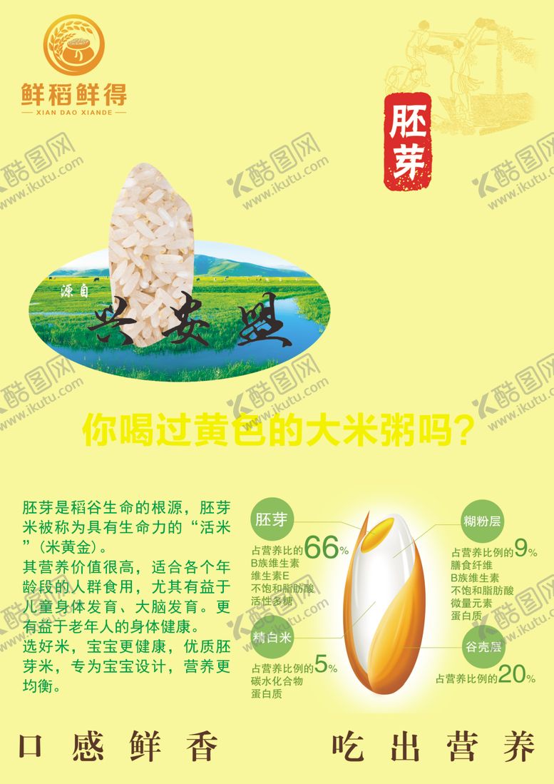 编号：69916310040625494092【酷图网】源文件下载-鲜稻鲜得胚芽鲜米