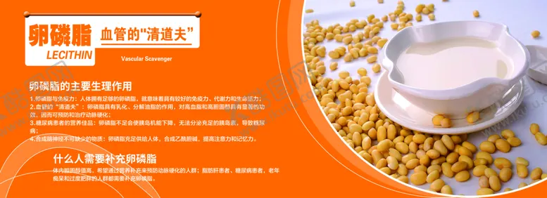 编号：52308311030851584108【酷图网】源文件下载-药店-卵磷脂