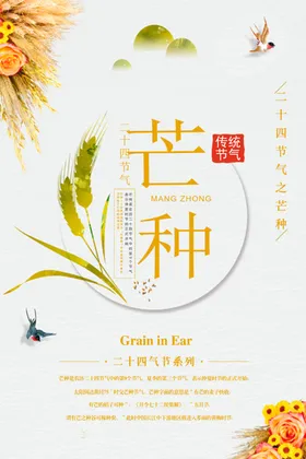 芒种