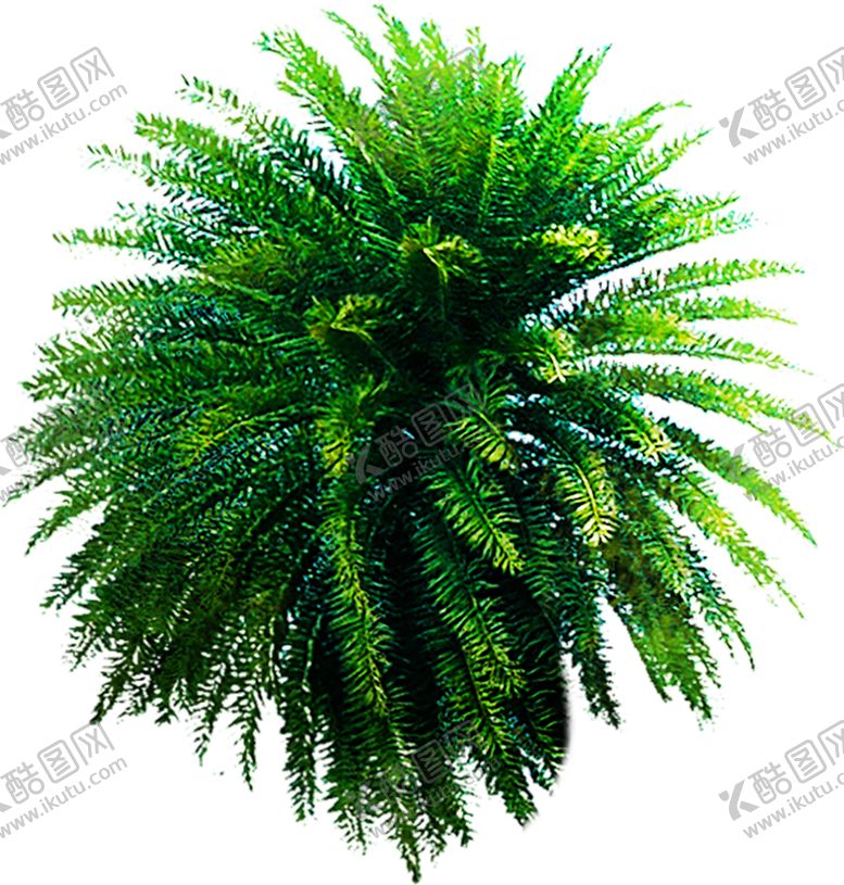 编号：71957107122103176538【酷图网】源文件下载-绿色植物