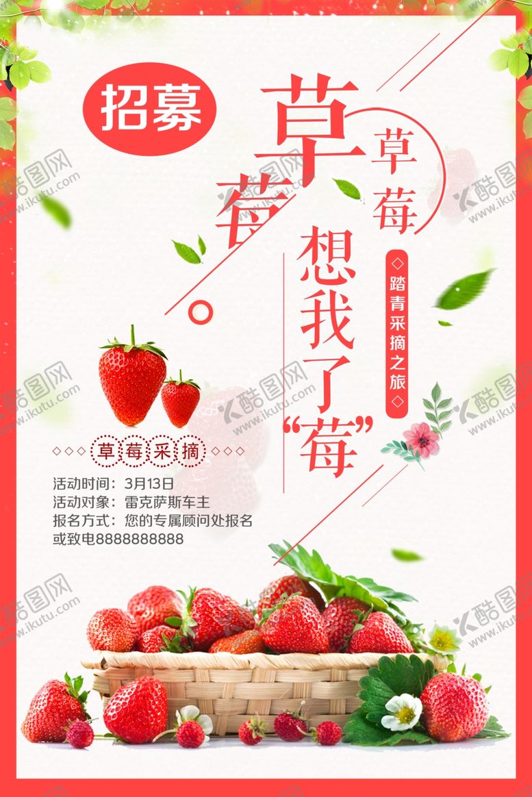 编号：64195109220325172554【酷图网】源文件下载-草莓踏青采摘行