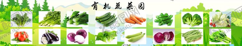 编号：93114811051208327039【酷图网】源文件下载-有机蔬菜