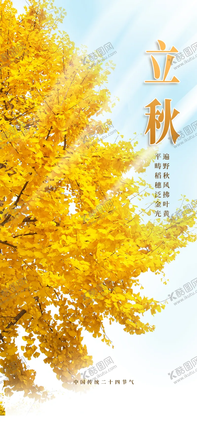 编号：42913510120636437506【酷图网】源文件下载-立秋海报
