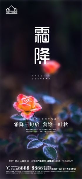 地产霜降节气微信