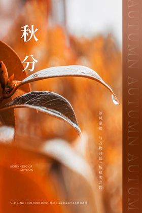 秋分海报大雪立春立夏