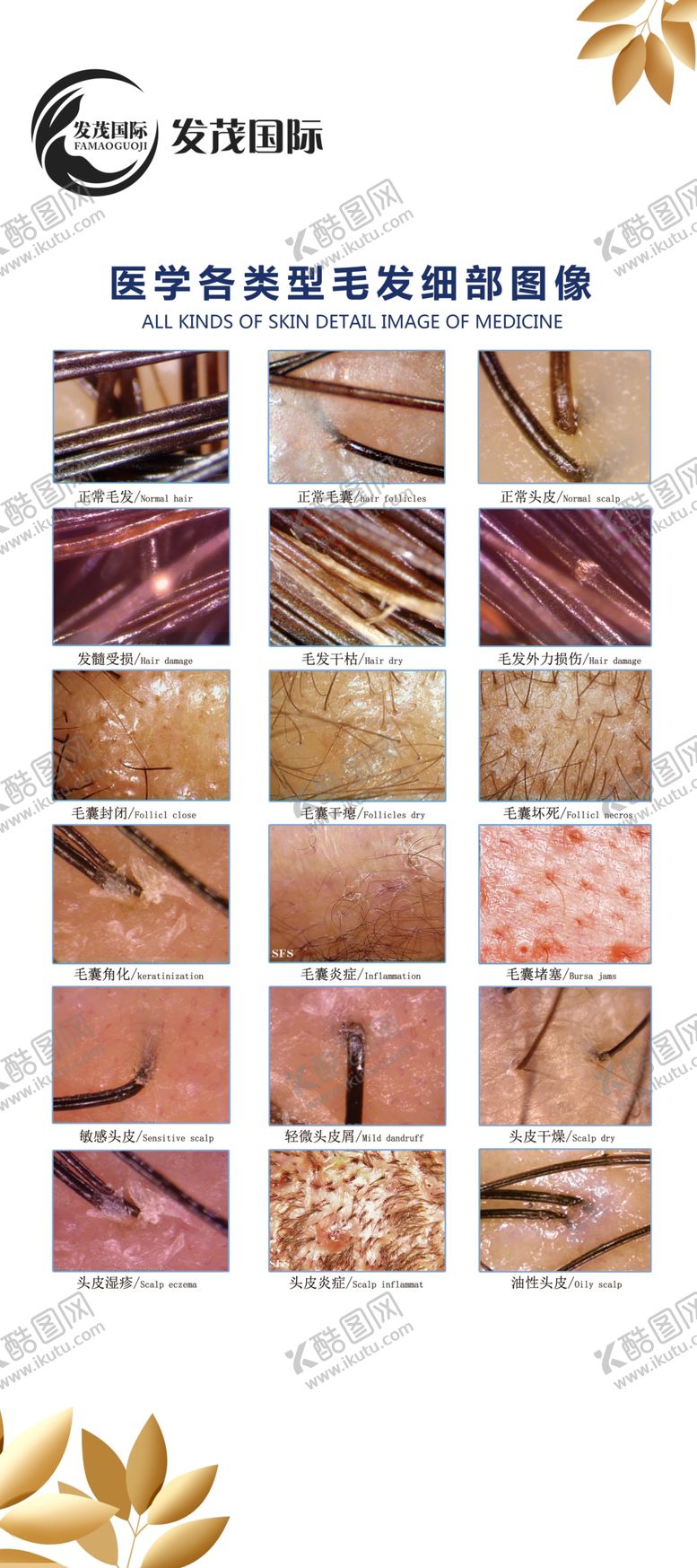 编号：26199310060104471274【酷图网】源文件下载-发茂国际洗发育发
