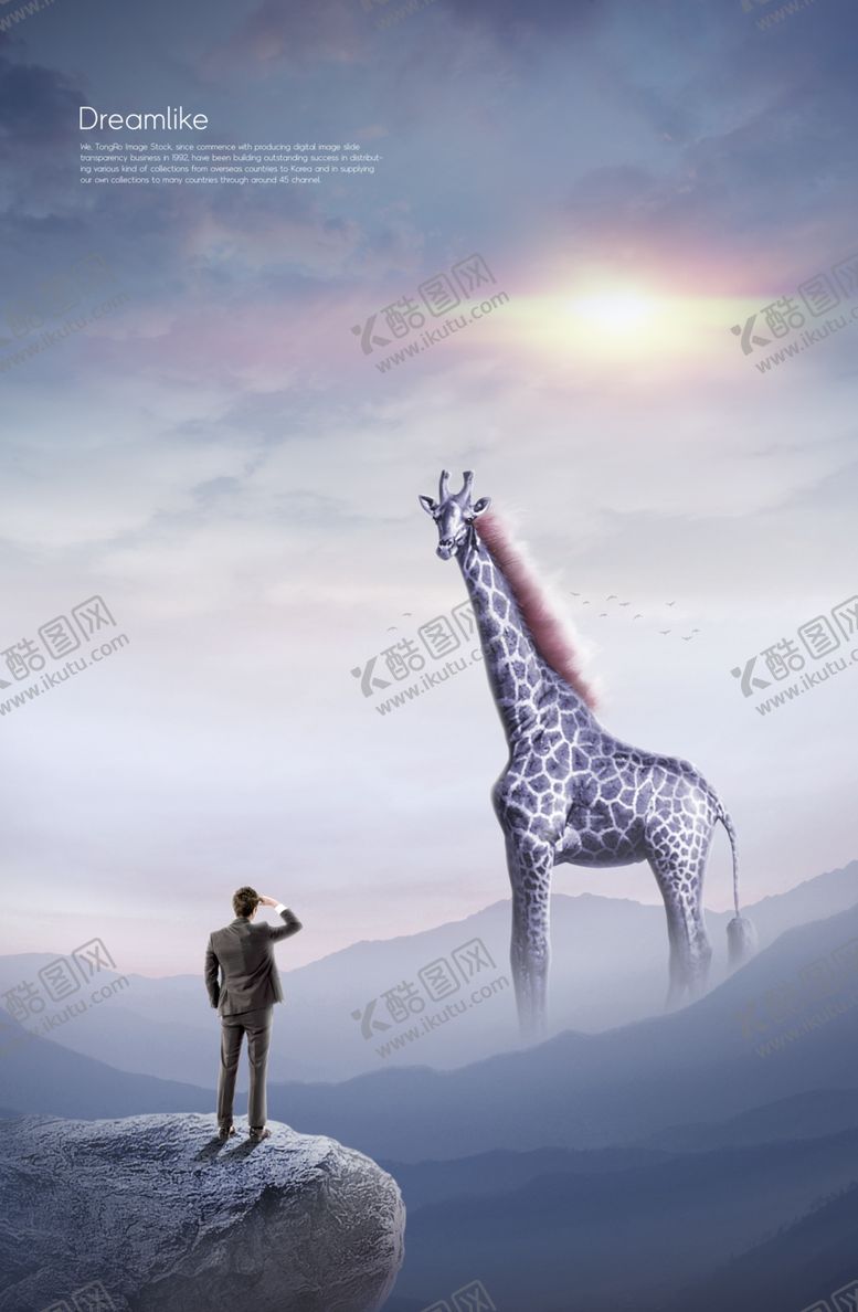 编号：39617906240659169520【酷图网】源文件下载-保护动物海报