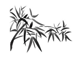 竹子