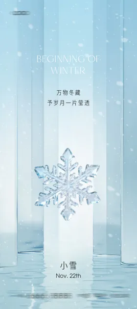 大雪小雪海报