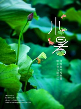 小暑中式海报大转发图地产海报