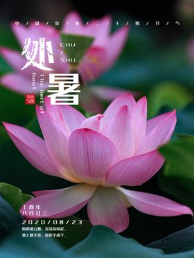 处暑海报处暑素材节气海报