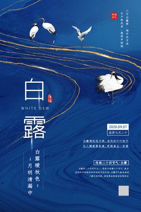 白露寒鹭主题霜降