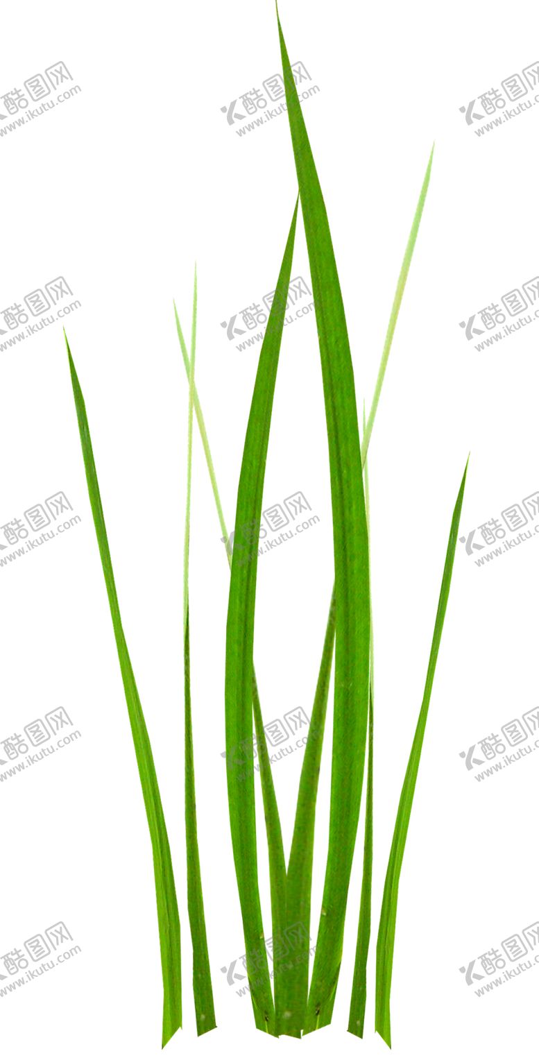 编号：83375010040827565238【酷图网】源文件下载-花边