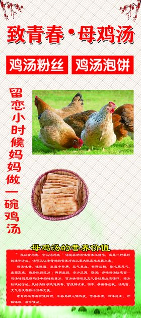 致青春母鸡汤