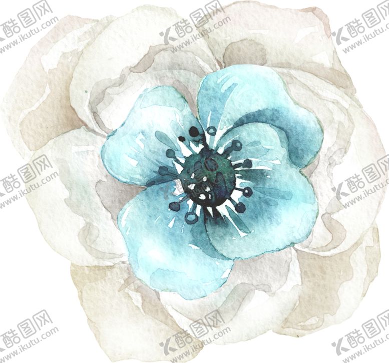 编号：72835807051704345559【酷图网】源文件下载-水彩手绘花卉花朵植物