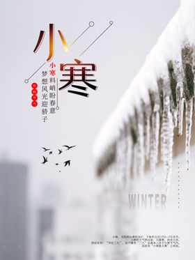小寒冬季景色海报