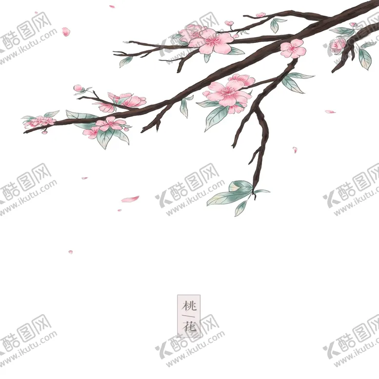 编号：55420306270044512148【酷图网】源文件下载-手绘植物花卉