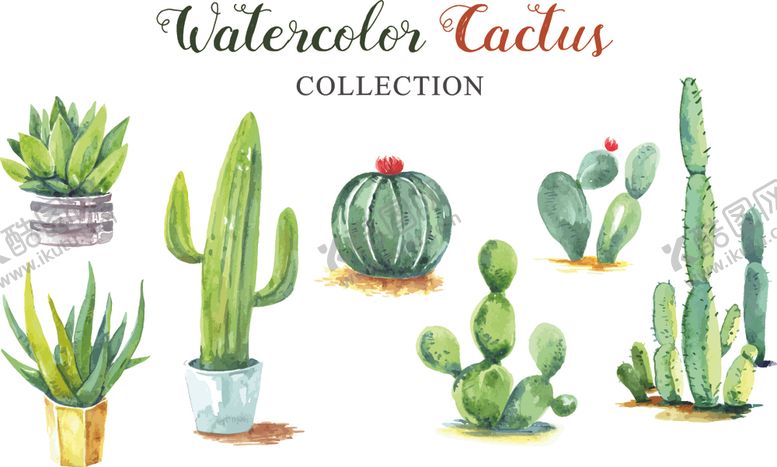 编号：71252710010512298929【酷图网】源文件下载-水彩植物