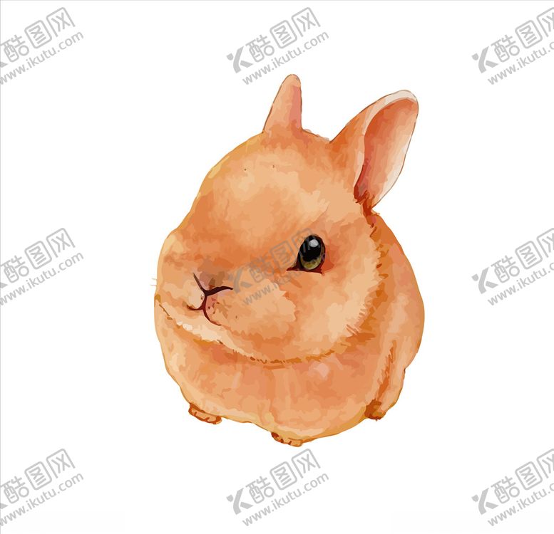 编号：34557905190145522606【酷图网】源文件下载-矢量水彩兔子