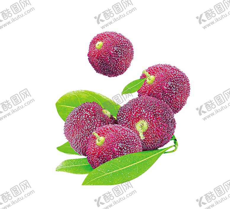 编号：25598010291121136445【酷图网】源文件下载-水果