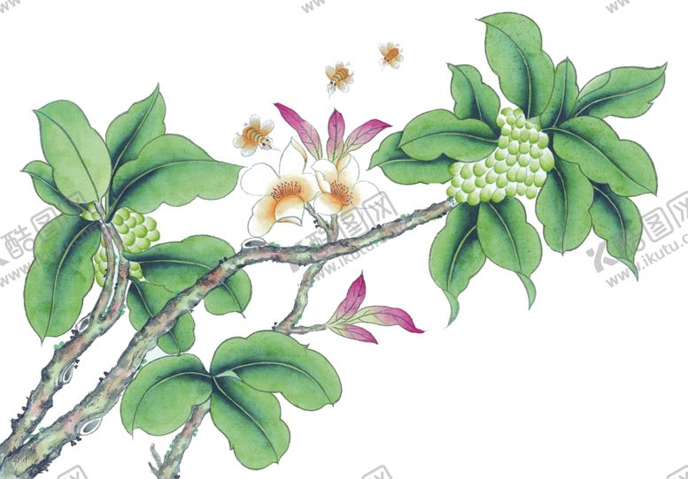 编号：26257801290937459546【酷图网】源文件下载-花鸟画