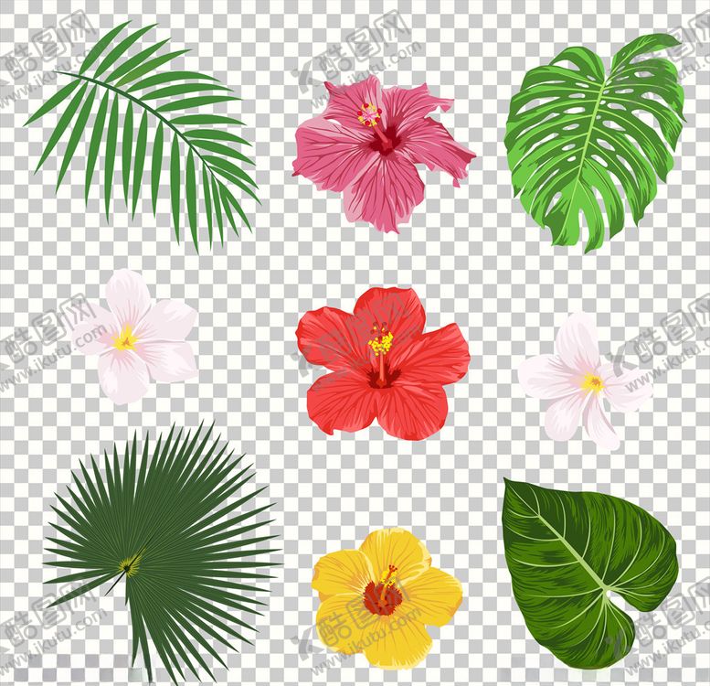 编号：17094310031506059385【酷图网】源文件下载-绿叶