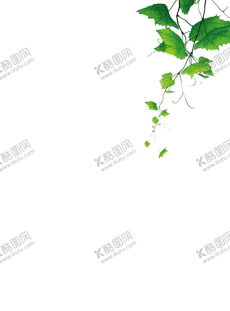 编号：97715210031156036147【酷图网】源文件下载-绿色背景