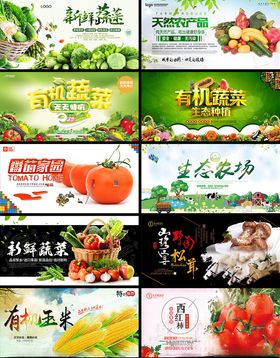 蔬菜展板