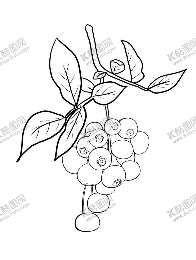 编号：61508405031537033674【酷图网】源文件下载-蓝莓