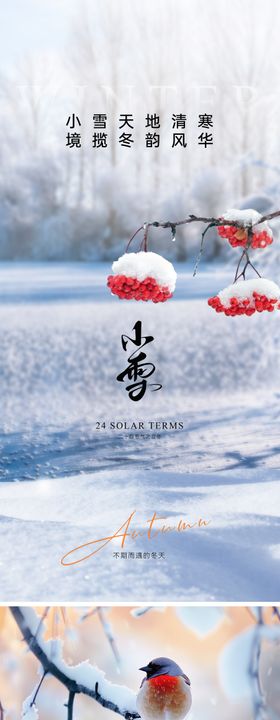 小雪海报景系列二十四节气