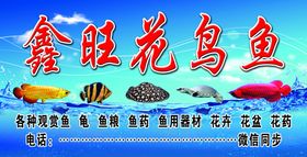 水族观赏鱼龙鱼海报banner