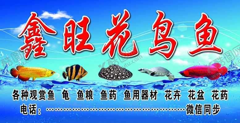 编号：80730110230425133368【酷图网】源文件下载-花鸟鱼水族
