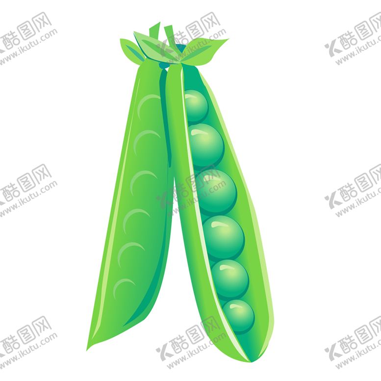 编号：58651607090548539193【酷图网】源文件下载-植物