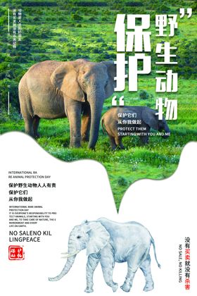保护动物社会公益活动海报素材