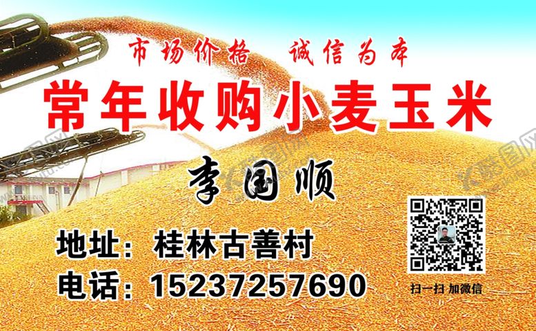 编号：25667907140251157938【酷图网】源文件下载-玉米名片