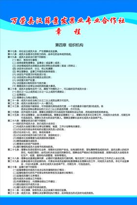 妇女小组组织机构
