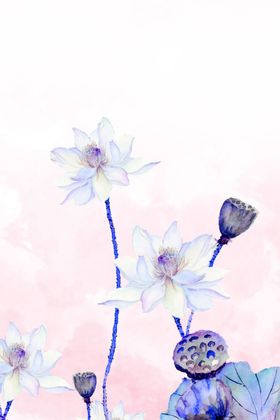 桂花 水墨花卉花卉装饰画