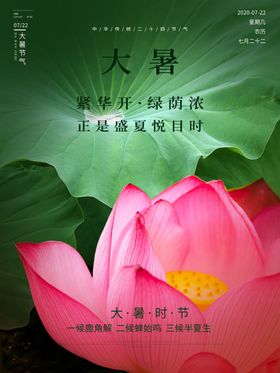 处暑海报处暑素材节气海报
