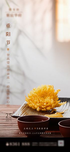 重阳节移动端海报