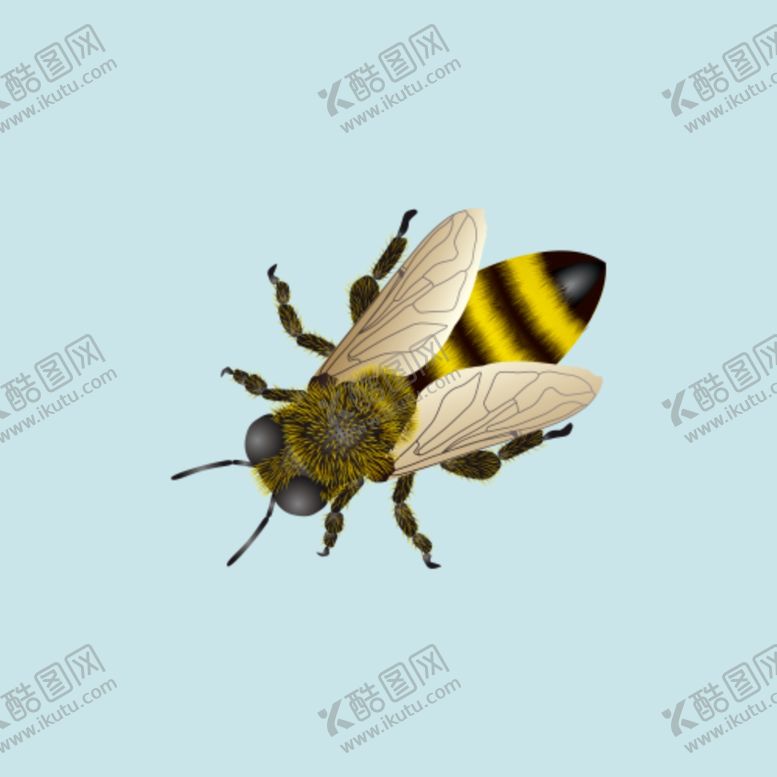 编号：54507512300100289665【酷图网】源文件下载-蜜蜂