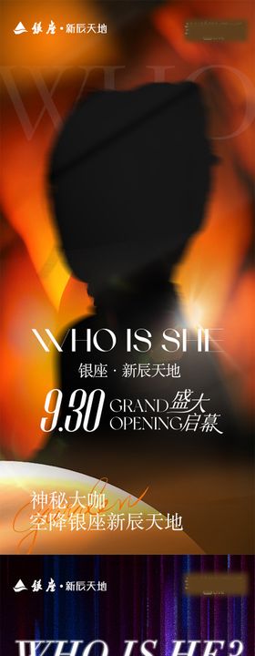 音乐节嘉宾悬念海报设计