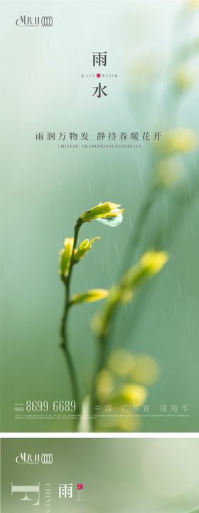 嫩芽雨水节气海报