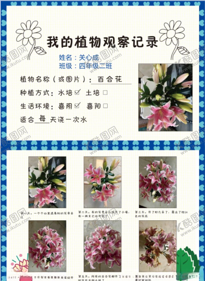 编号：19272704181220006271【酷图网】源文件下载-植物观察记录