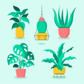 盆栽卡通绿植花卉花草插图